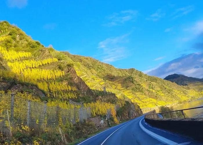 Apartamento Winzerhaus Am Calmont - Moselidyll Im Winzerhaus Bremm